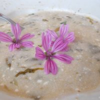 Mályvák (hibiszkuszok) - nemcsak gyönyörűek, finomak is