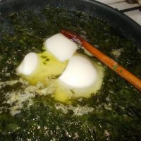 Medvehagyma tartósítás