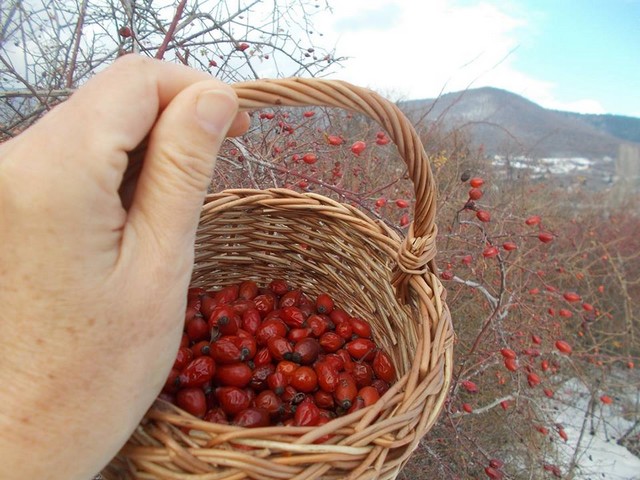 balkez szelfi