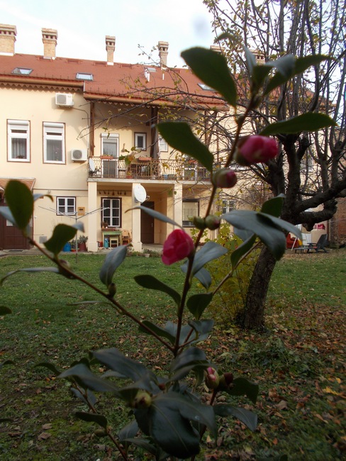 oromnaptar