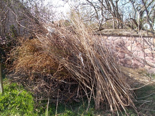csicsoka betekeritas vege