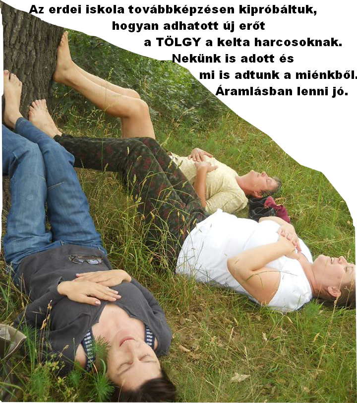 erdei iskola