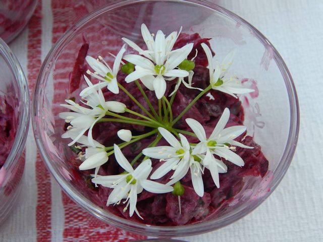 joghurtos ceklesal