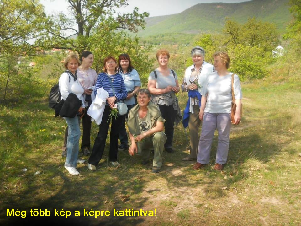 nyugdijasokkal1