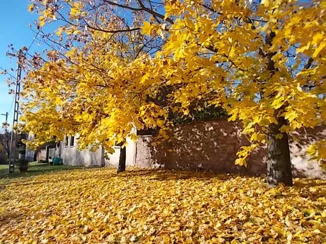rend