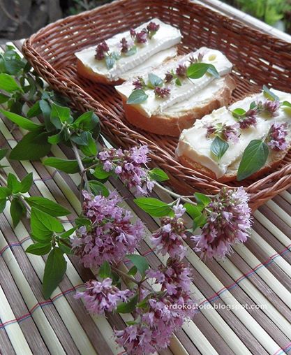 szurokfu