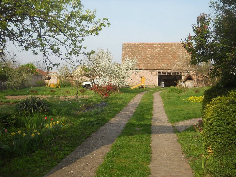 tavasz a kertben