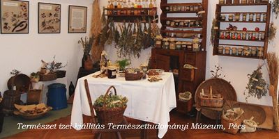 termeszettudomanyi muzeum
