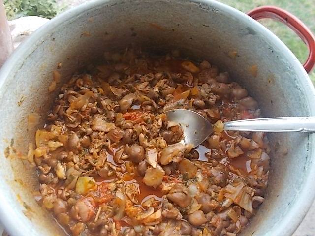 vegre gomba
