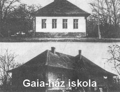gaiga haz1