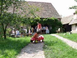pajtakicsi
