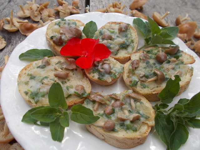 szegfugombas virtualis